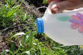 plastic water can for garden