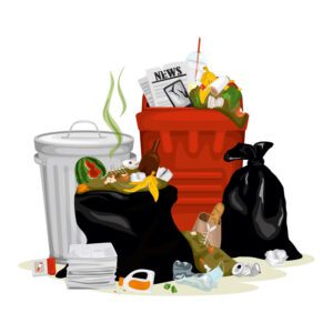 Reducing-food-waste-Usa-and-China-image