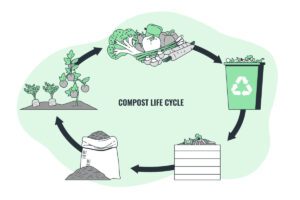 compost-life-cycle-image