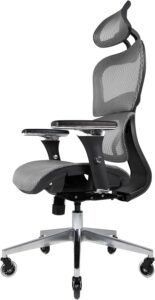 Ergonomic study Chair